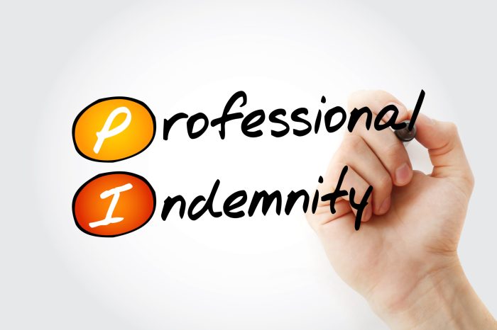Professional Indemnity Insurance Explained