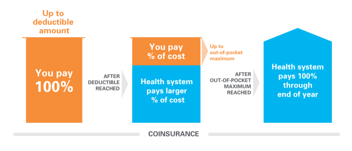 Understanding deductibles, copays and coinsurance - The University of ... Understanding deductibles, copays and coinsurance - The University of ...