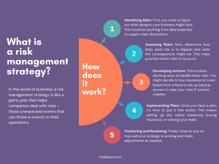 15 Risk Management Strategies: Examples, Pros, Cons 15 Risk Management Strategies: Examples, Pros, Cons