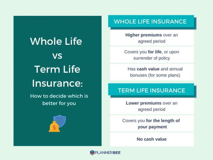 Term Life vs Whole Life Insurance: Which Should You Get? - Planner Bee Term Life vs Whole Life Insurance: Which Should You Get? - Planner Bee